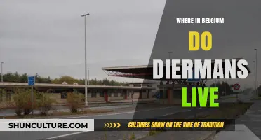 Discovering the Diermans' Homeland in Belgium: A Cultural Journey