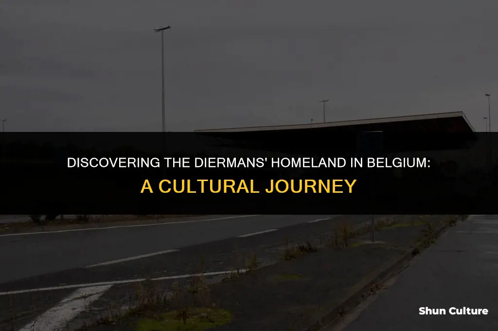 where in belgium do diermans live