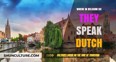 Exploring Belgium's Dutch-Speaking Regions: A Linguistic Journey