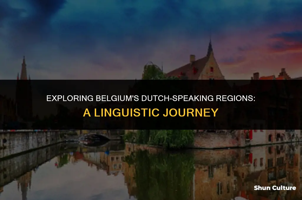 where in belgium do they speak dutch