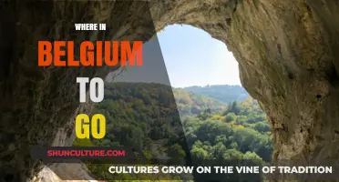 Discover Belgium's Hidden Gems: A Local's Guide to Unmissable Spots