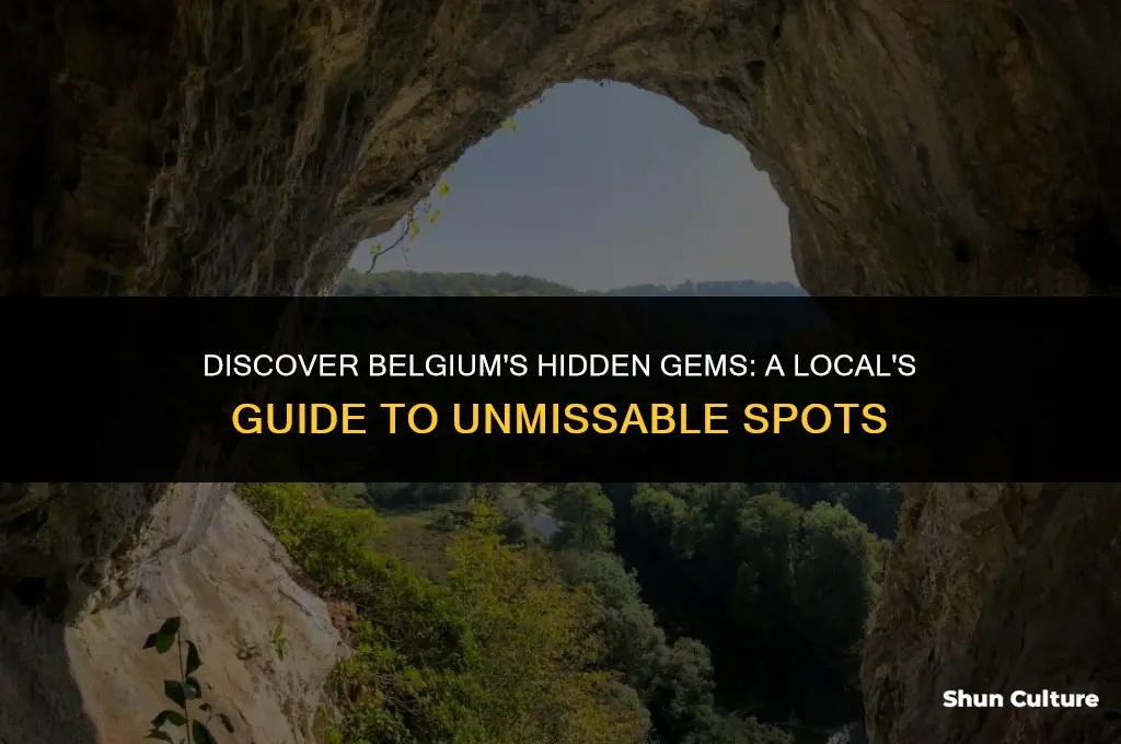 where in belgium to go