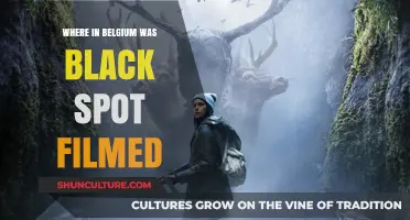 Exploring Belgium: Unveiling the Filming Locations of 'Black Spot