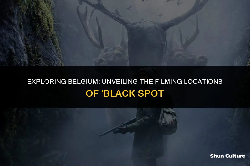 where in belgium was black spot filmed