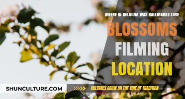 Discovering Romance: Hallmark's Love Blossoms Filming Locations in Belgium