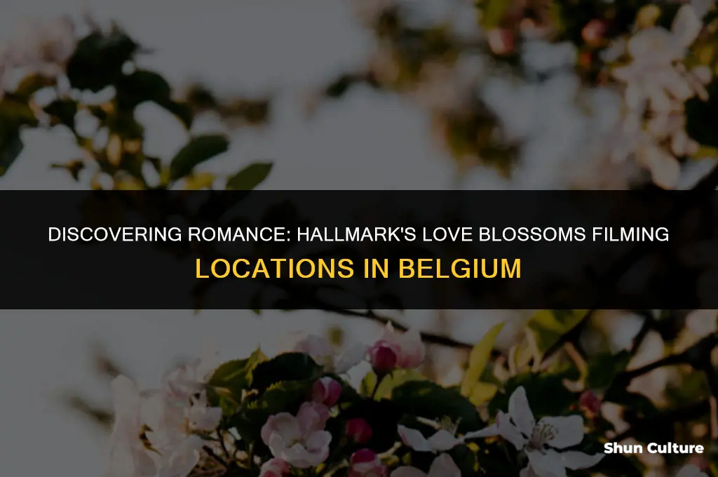 where in belgium was hallmarks love blossoms filming location