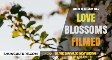 Discovering Romance: Filming Locations of Love Blossoms in Belgium