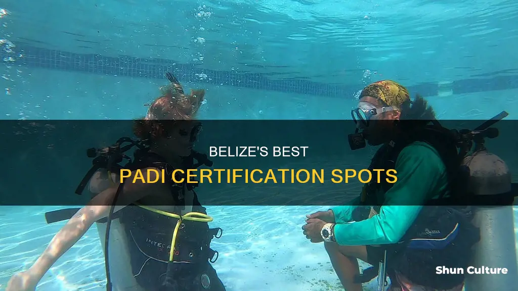 where in belize can I get a padi