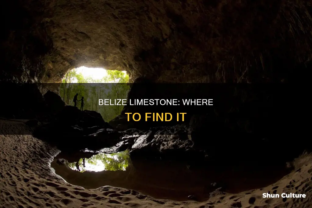 Belize Limestone: Where To Find It | ShunCulture