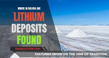 Lithium Deposits in Bolivia: Where is the White Gold?