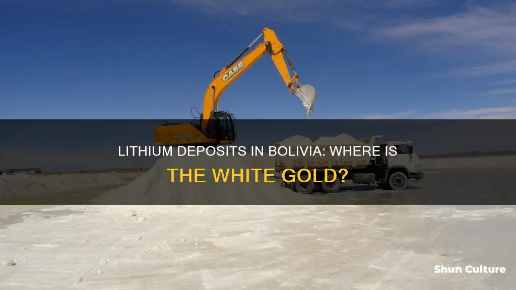 where in bolivia are lithium deposits found