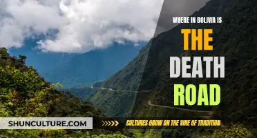 Bolivia's Death Road: The World's Deadliest Route Unveiled