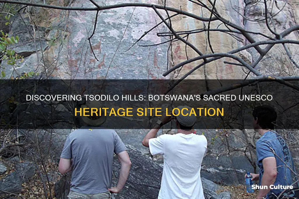 where in botswana is tsodilio hills