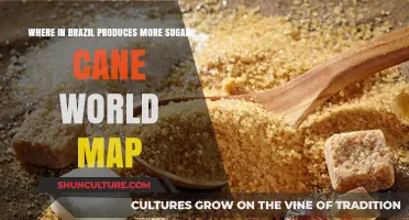 Brazil's Sugar Cane Production: Mapping the Top Regions on World Map