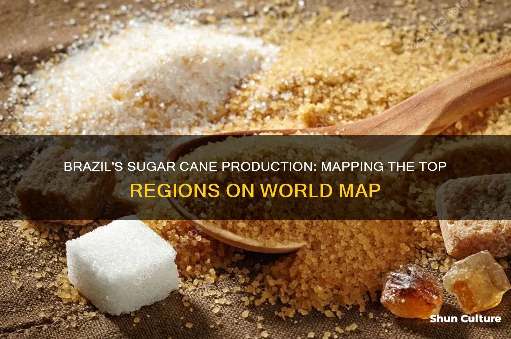 where in brazil produces more sugar cane world map