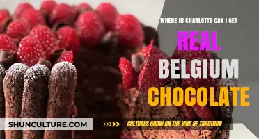 Indulge in Authentic Belgian Chocolate Delights in Charlotte