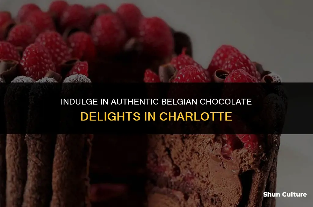 where in charlotte can I get real belgium chocolate