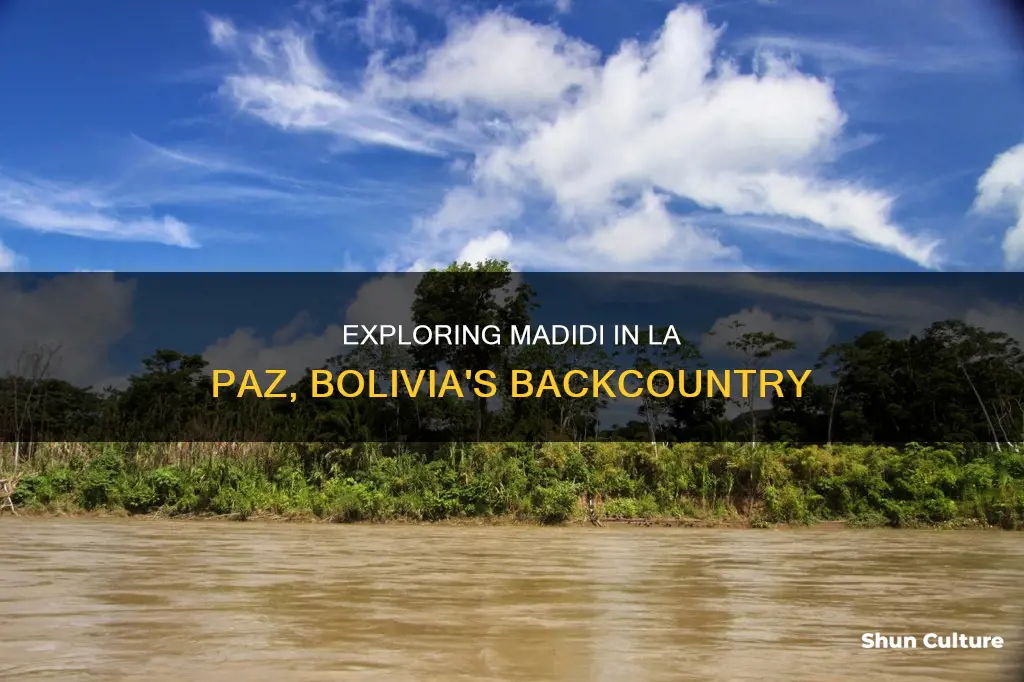 where in la paz bolivia is madidi located