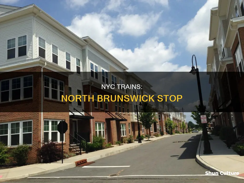 where in north brunswick stop train to nyc