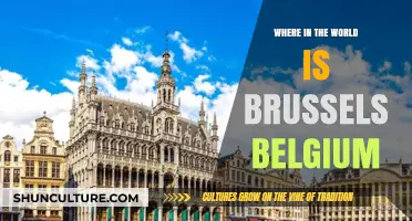 Exploring Brussels: A Journey Through Belgium's Vibrant Capital