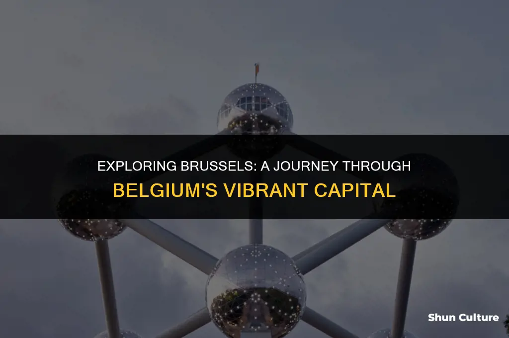 where in the world is brussels belgium
