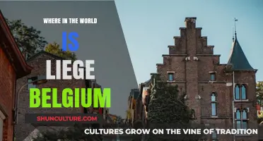 Exploring the Hidden Gem of Liège, Belgium: A Travel Guide