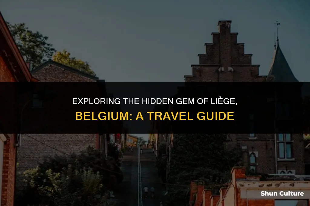 where in the world is liege belgium