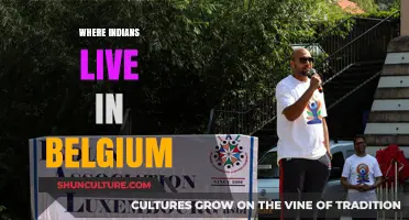 Exploring the Vibrant Indian Community in Belgium: A Cultural Journey