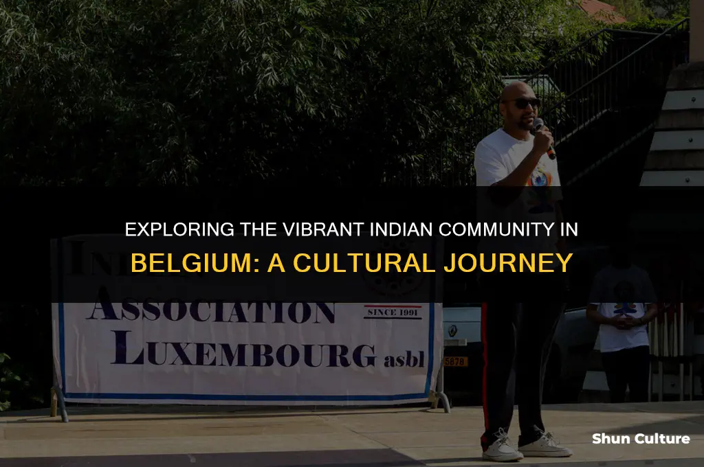 where indians live in belgium