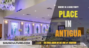 Discover Antigua's Best Party Spots: Top Venues for Unforgettable Nights