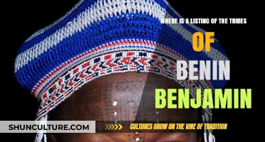 Exploring the Tribal Heritage of Benin: A Comprehensive Guide