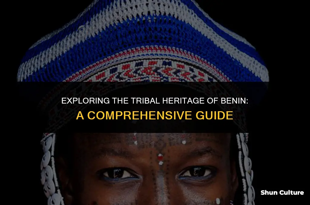 where is a listing of the tribes of benin benjamin