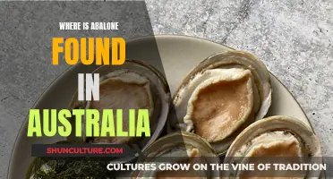 Exploring Abalone in Australia: Natural Habitat and Locations