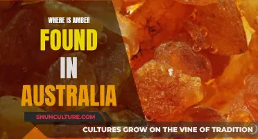 Amber Discovery in Australia: Where and How?