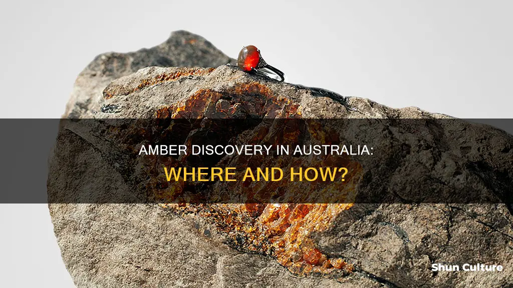where is amber found in australia