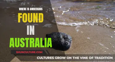 Finding Ambergris in Australia: A Guide to Sources and Locations