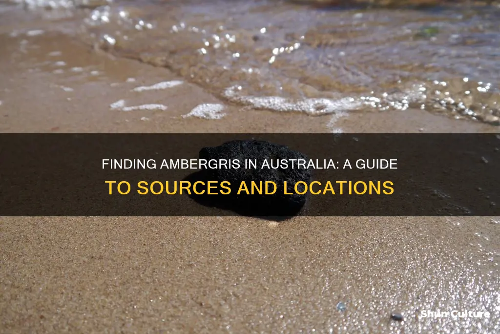 where is ambergris found in australia