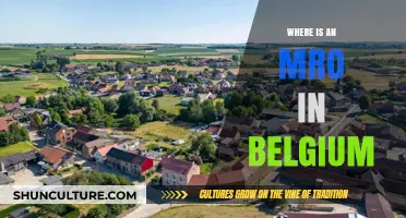 Discovering Belgium's Hidden Gem: The Enchanting Mro Village