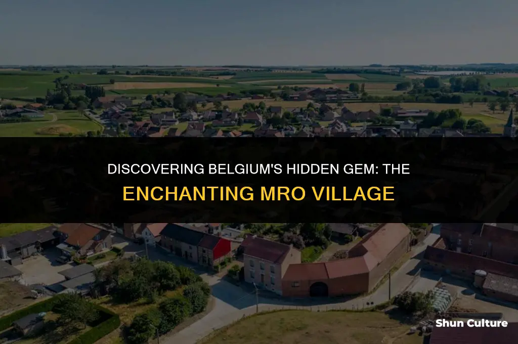 where is an mro in belgium