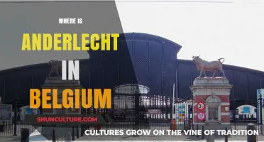 Exploring Anderlecht: A Hidden Gem in Belgium's Capital