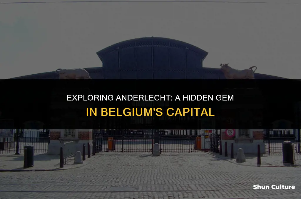 where is anderlecht in belgium
