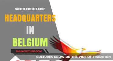 Discovering Anheuser-Busch's Belgian Headquarters: A Beer Lover's Guide