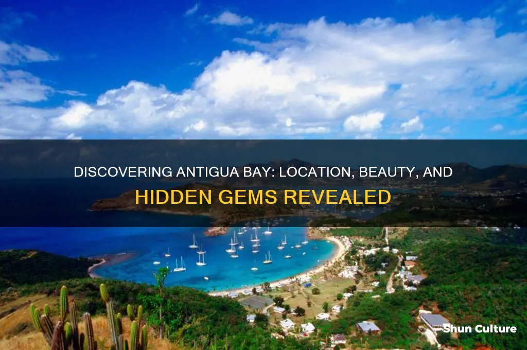 where is antigua bay