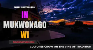 Discovering Antigua's Charm in Mukwonago, WI: A Real-Life Connection