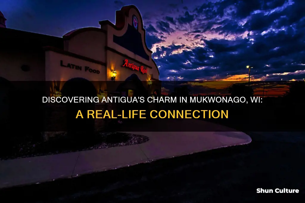 where is antigua real in mukwonago wi