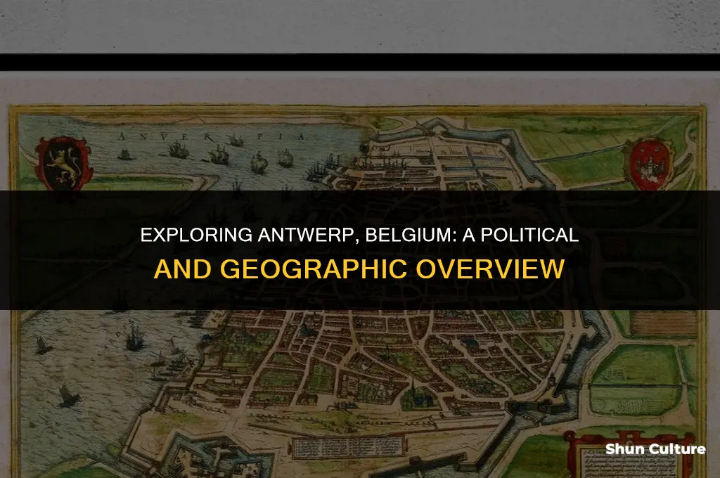 where is antwerp belgium located political