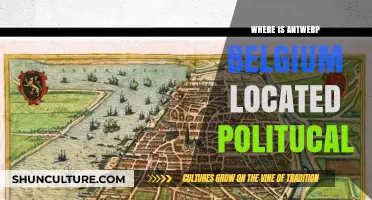 Exploring Antwerp, Belgium: A Political and Cultural Hub
