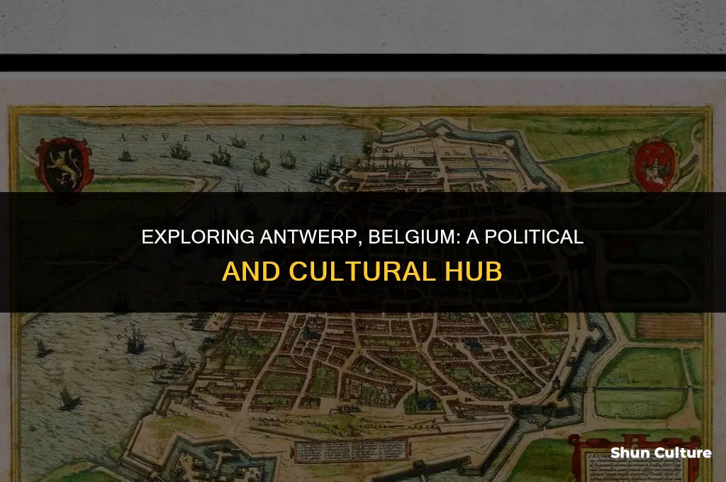 where is antwerp belgium located politucal