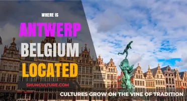 Discovering Antwerp: A Gem in Belgium's Crown