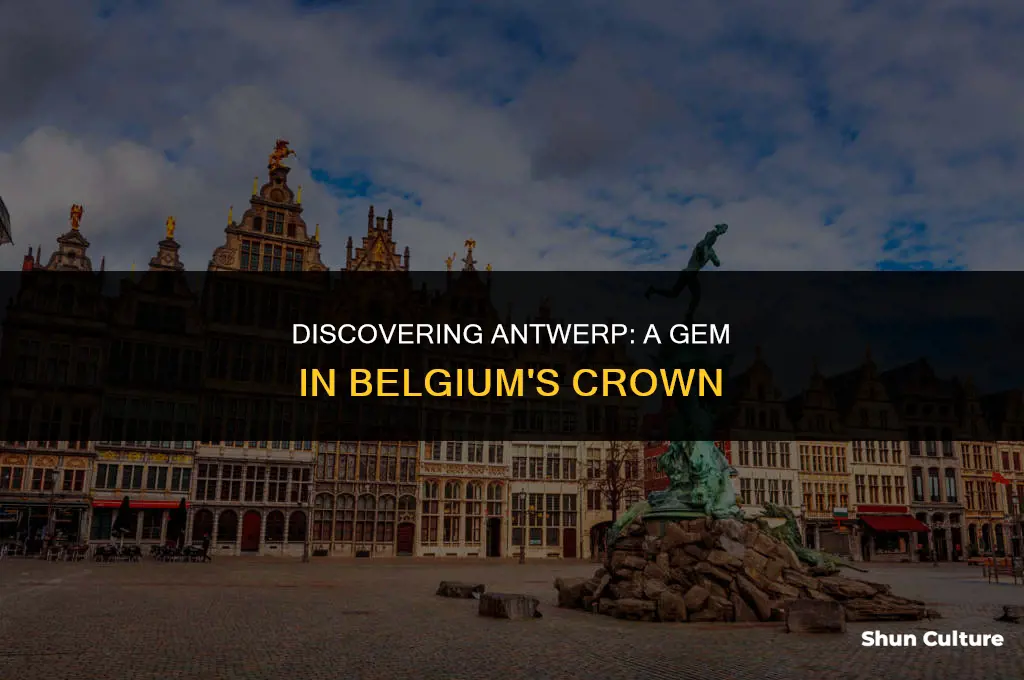 where is antwerp belgium located